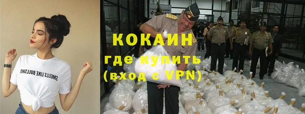твердый Аркадак
