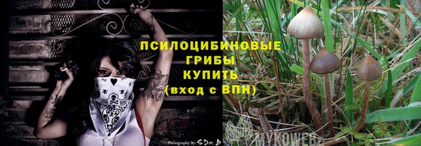 твердый Аркадак