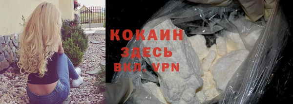 твердый Аркадак