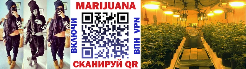 Конопля планчик  продажа наркотиков  ссылка на мегу ТОР  Пыталово 